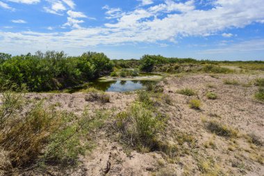 Salado Nehri 'ndeki köprü ya da Chadileuvu Nehri, La Reforma şehri, La Pampa Eyaleti, Arjantin
