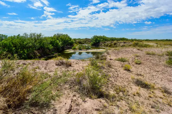 Salado Nehri 'ndeki köprü ya da Chadileuvu Nehri, La Reforma şehri, La Pampa Eyaleti, Arjantin