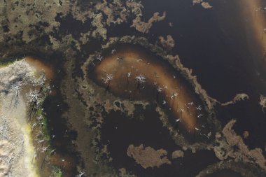Pampas Lagoon hava manzarası, La Pampa Eyaleti, Patagonya, Arjantin.