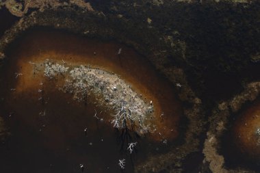 Pampas Lagoon hava manzarası, La Pampa Eyaleti, Patagonya, Arjantin.