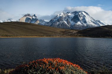 Torres del Paine Ulusal Parkı, Dağ Ortamı, Patagonya, Şili.