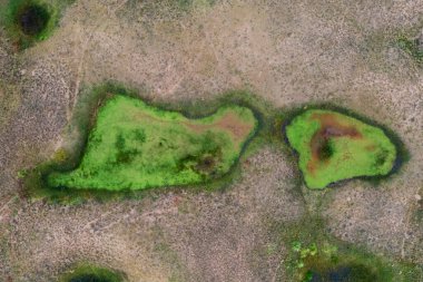 Taze su kaynağı, Pampas manzarası, La Pampa Eyaleti, Patagonya, Arjantin.