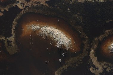 Pampas Lagoon hava manzarası, La Pampa Eyaleti, Patagonya, Arjantin.