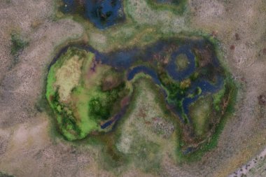 Taze su kaynağı, Pampas manzarası, La Pampa Eyaleti, Patagonya, Arjantin.