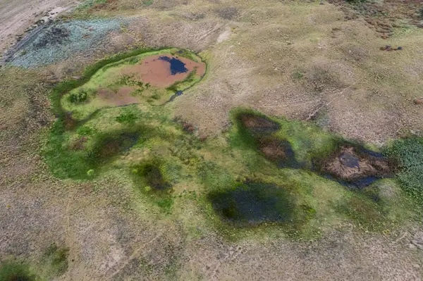 Taze su kaynağı, Pampas manzarası, La Pampa Eyaleti, Patagonya, Arjantin.