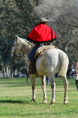 Arjantin Gaucho at sırtında, Arka Manzara, La Pampa Eyaleti, Arjantin.