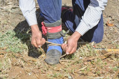 Gaucho, Patagonya 'nın La Pampa Eyaleti' ndeki Rawhide 'dan yapılmış geleneksel Potro botlarını ayarlıyor..