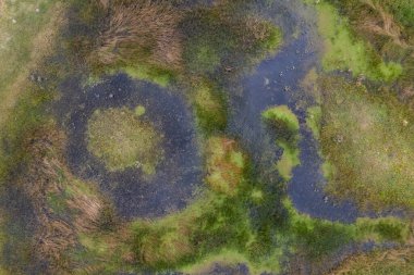 Taze su kaynağı, Pampas manzarası, La Pampa Eyaleti, Patagonya, Arjantin.