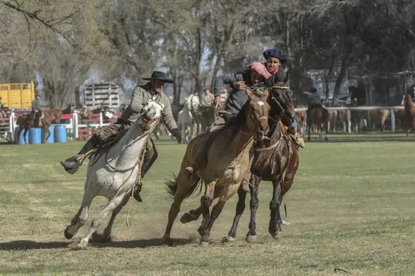 Macachin, La Pampa, Arjantin, 09-03-2018, kırsal kesimdeki geleneksel Arjantin rodeo festivali sırasında Gaucho 'nun yükselen bir atı evcilleştirmesi.