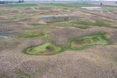 Taze su kaynağı, Pampas manzarası, La Pampa Eyaleti, Patagonya, Arjantin.