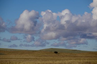 Gökyüzü bulutlu Pampas manzarası, La Pampa Provincia, Patagonya, Arjantin.