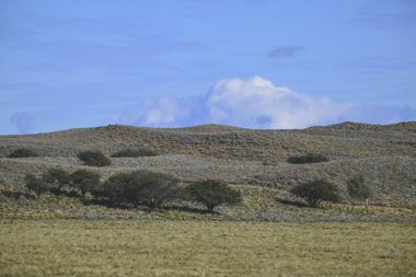 Gökyüzü bulutlu Pampas manzarası, La Pampa Provincia, Patagonya, Arjantin.