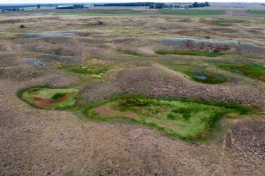 Taze su kaynağı, Pampas manzarası, La Pampa Eyaleti, Patagonya, Arjantin.