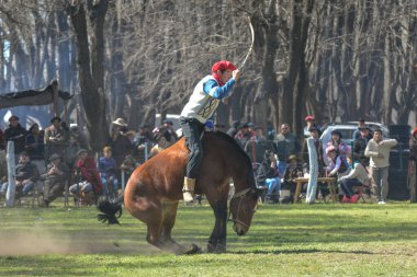 Macachin, La Pampa, Arjantin, 09-03-2018, kırsal kesimdeki geleneksel Arjantin rodeo festivali sırasında Gaucho 'nun yükselen bir atı evcilleştirmesi.