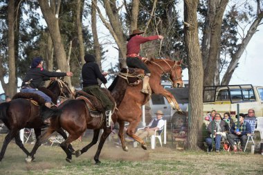 Macachin, La Pampa, Arjantin, 09-03-2018, kırsal kesimdeki geleneksel Arjantin rodeo festivali sırasında Gaucho 'nun yükselen bir atı evcilleştirmesi.
