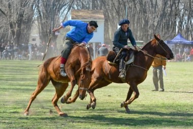 Macachin, La Pampa, Arjantin, 09-03-2018, kırsal kesimdeki geleneksel Arjantin rodeo festivali sırasında Gaucho 'nun yükselen bir atı evcilleştirmesi.