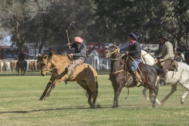 Macachin, La Pampa, Arjantin, 09-03-2018, kırsal kesimdeki geleneksel Arjantin rodeo festivali sırasında Gaucho 'nun yükselen bir atı evcilleştirmesi.