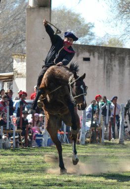 Macachin, La Pampa, Arjantin, 09-03-2018, kırsal kesimdeki geleneksel Arjantin rodeo festivali sırasında Gaucho 'nun yükselen bir atı evcilleştirmesi.