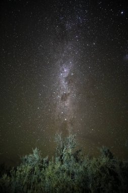 Pampas manzarası gece yıldızlı bir gökyüzü ile çekildi, La Pampa vilayeti, Patagonya, Arjantin.