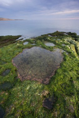 Puerto Piramitleri, Yarımada Valdes, Patagonya, Arjantin, manzaralı kıyı manzarası ve doğa rezervi üzerinde gün batımı.