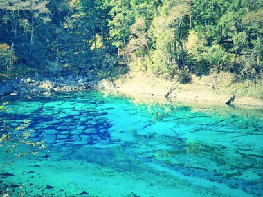 Clear blue Turquoise color lake found in the Jiuzhai valley nature reserve and national park of China clipart