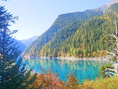 Açık mavi Turkuaz renkli göl Jiuzhai Vadisi 'nde ve Çin Milli Parkı' nda bulundu.