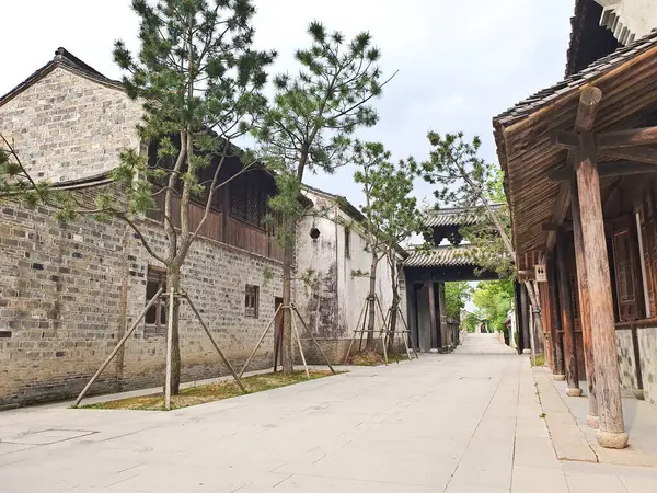 Yeşil bir göl kenarında huzurlu bir taş yol geleneksel bir Çin tapınağına ve bulutlu bir gökyüzünün altındaki tapınağa götürür. 