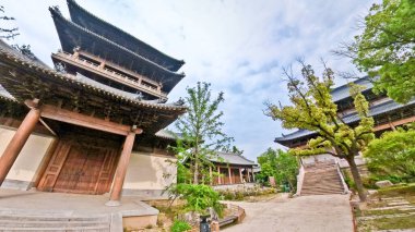 Eski çadırlar, taştan bir heykel, yemyeşil yemyeşil ve ağaçların altında huzurlu yürüyüş yolları olan sakin geleneksel bir Çin bahçesi. 