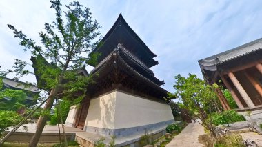 Eski çadırlar, taştan bir heykel, yemyeşil yemyeşil ve ağaçların altında huzurlu yürüyüş yolları olan sakin geleneksel bir Çin bahçesi. 