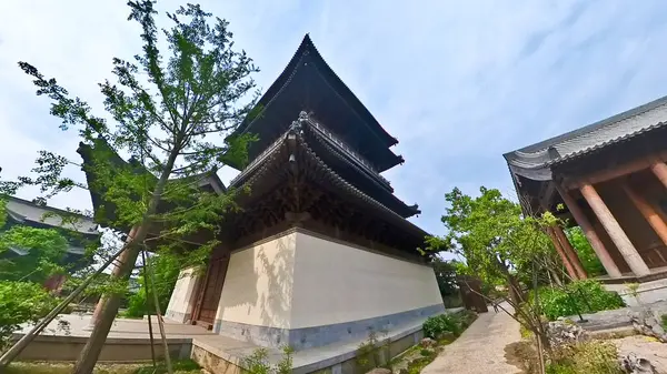 Eski çadırlar, taştan bir heykel, yemyeşil yemyeşil ve ağaçların altında huzurlu yürüyüş yolları olan sakin geleneksel bir Çin bahçesi. 