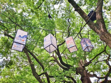 Geleneksel sanat eserlerine sahip renkli fenerler dingin bir orman ortamında ağaçların arasında asılı duruyor, barışçıl ve sanatsal bir açık hava manzarası yaratıyor. 