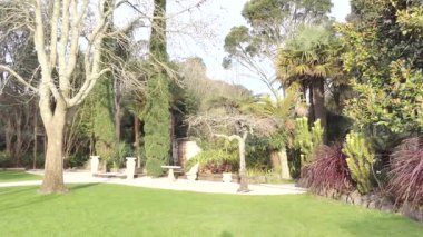 Bir üzüm bağındaki düğün yerinin açık hava çekimi.