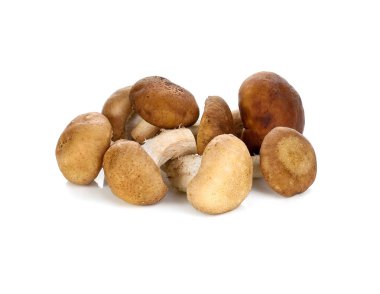 Shiitake mantarı beyaz arkaplanda izole edilmiş.