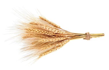 Beyaz arka planda arpa kulağı. en üstteki görünüm