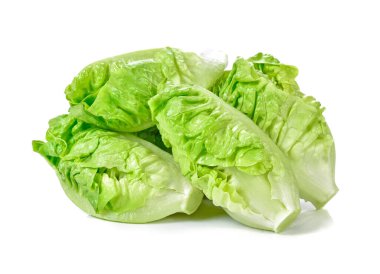 Beyaz arkaplanda Bebek Romaine Marulu