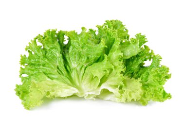 Salata yaprağı. Beyaz arkaplanda marul izole.