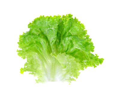 Marul beyaz arka planda izole edilmiş. en üstteki görünüm