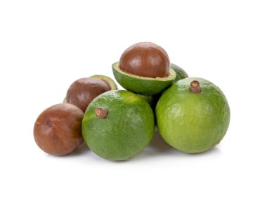 Beyaz arka planda izole edilmiş Macadamia fındıkları.