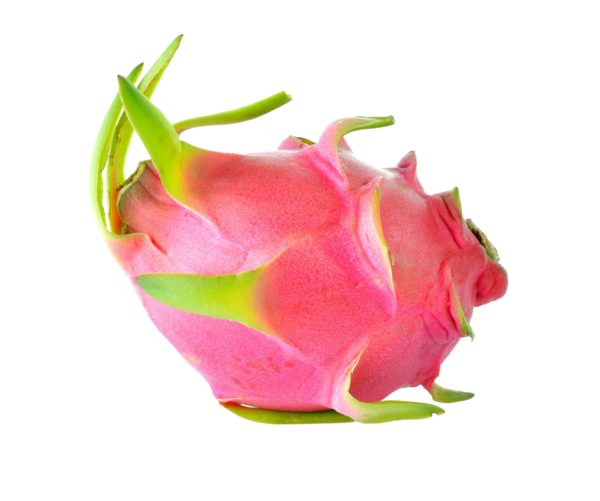 Ejderha meyvesi şeffaf png