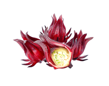Hibiscus Sabdariffa veya Roselle meyveleri şeffaf png