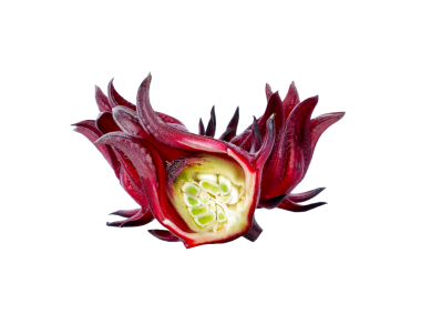 Hibiscus Sabdariffa veya Roselle meyveleri şeffaf png