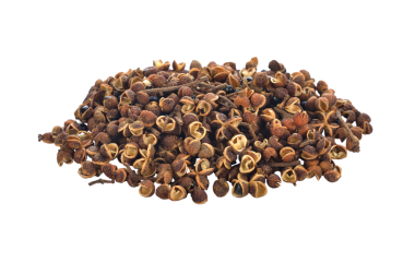 Zanthozylum limonella Alston şeffaf png