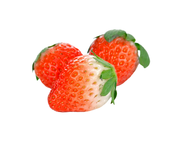 Taze çilek şeffaf png