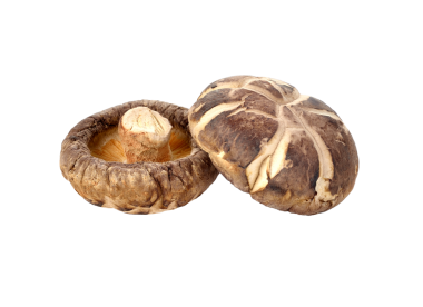 Kuru Shiitake mantar beyaz izole