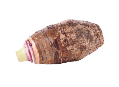 taro kökleri şeffaf png