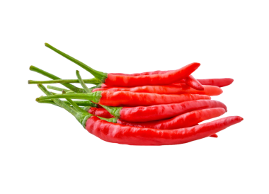 kırmızı biber şeffaf png