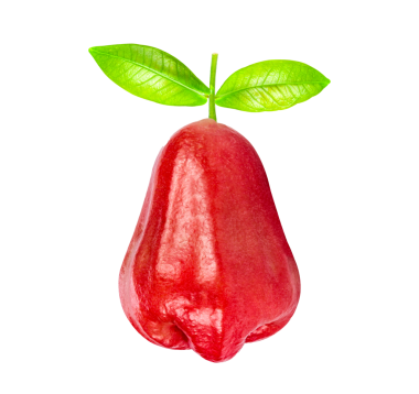 Gül elmaları şeffaf png