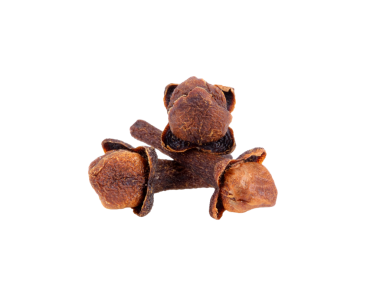 kuru karanfiller şeffaf png