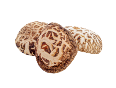 Kuru Shiitake mantarı şeffaf png