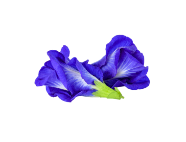 Kelebek Bezelye şeffaf png